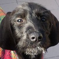 Mariù