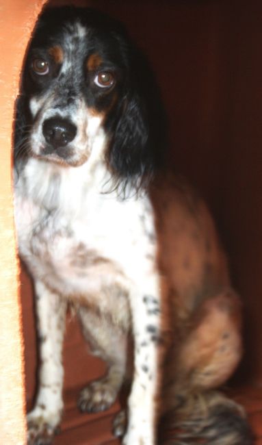 Mia