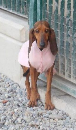 Olga
