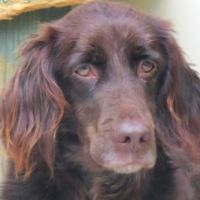 Gilda