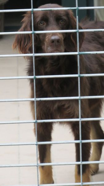 Gilda