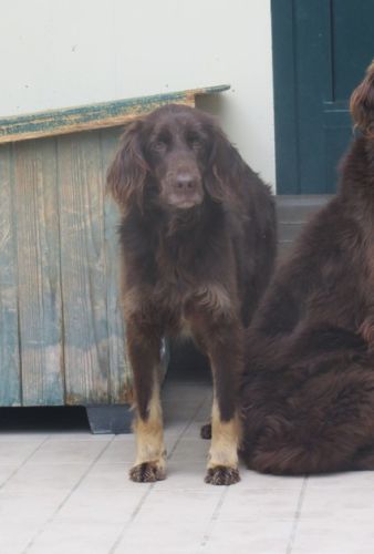 Gilda