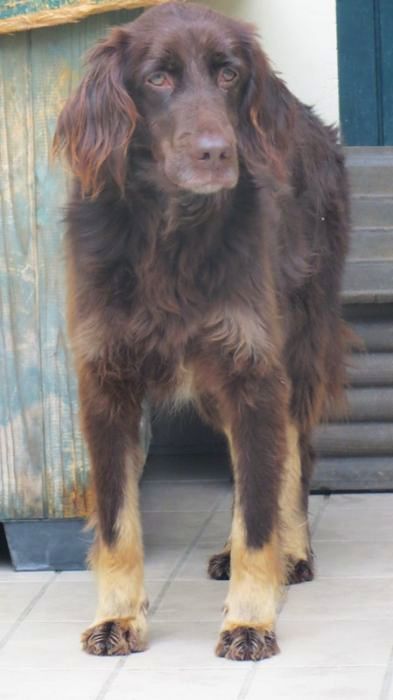 Gilda