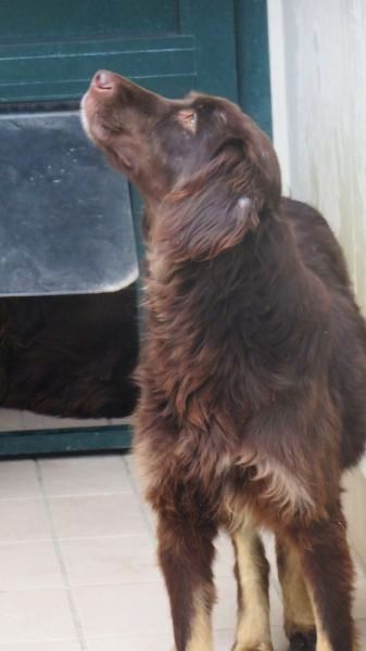 Gilda