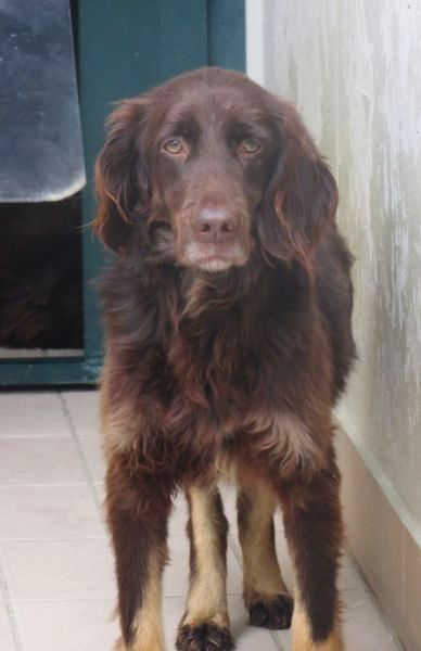 Gilda