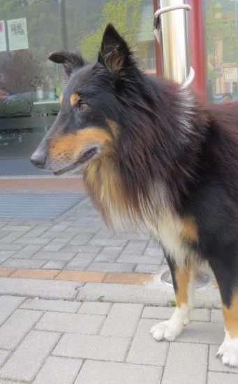 Sir Duke