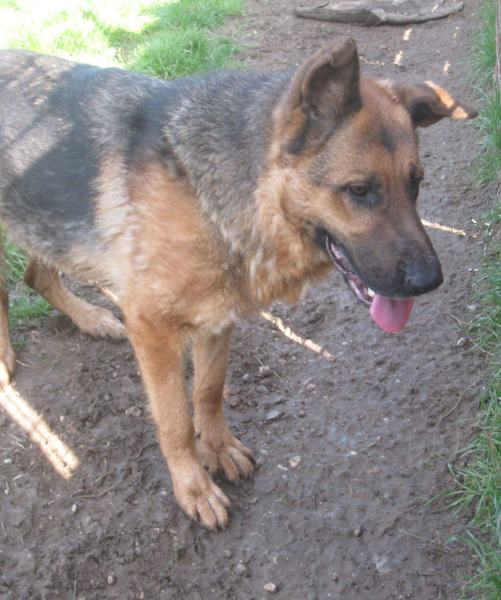 Ciro