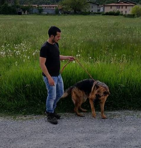 Ciro