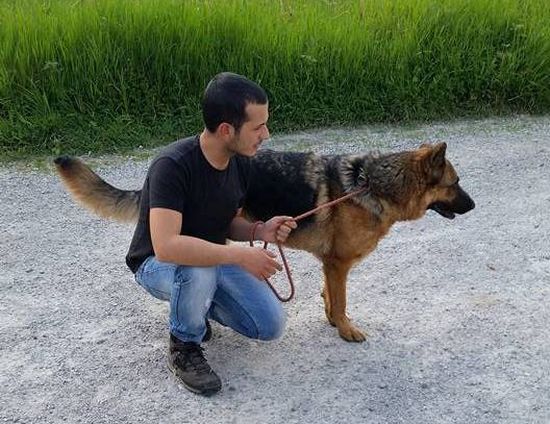 Ciro