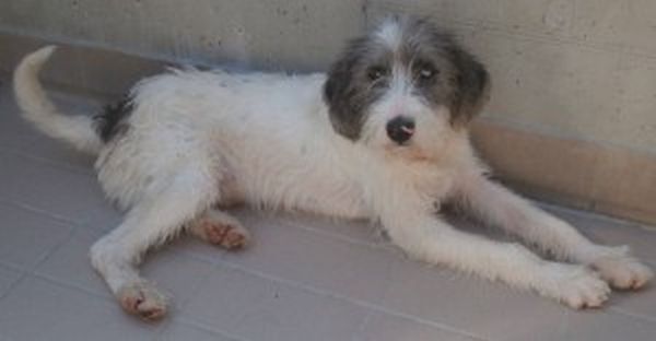 Kledy