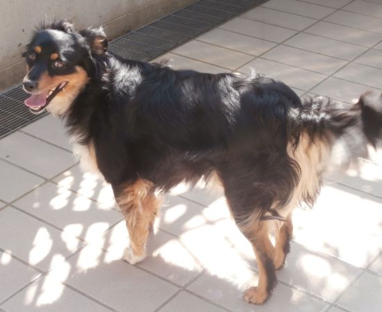Melita