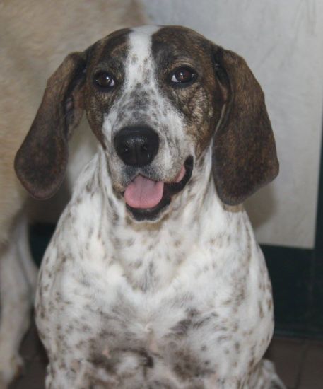 Bella