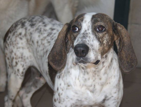 Bella