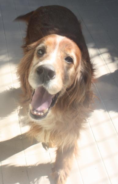 Bernard