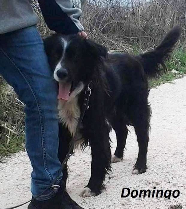 Domingo