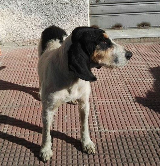 Lulù