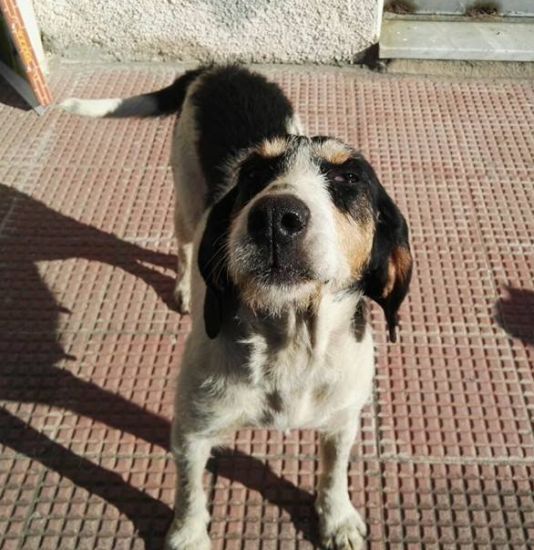 Lulù
