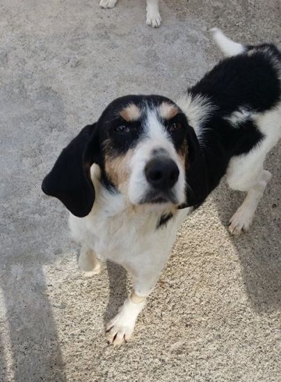 Lulù