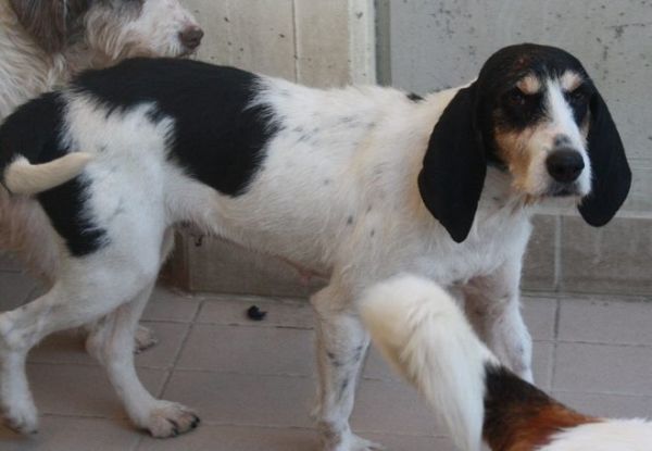 Lulù
