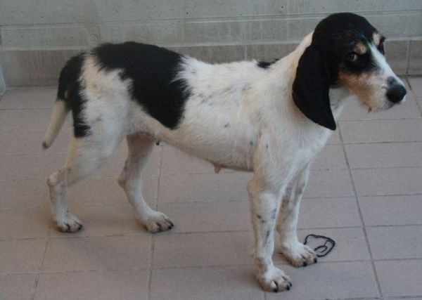 Lulù