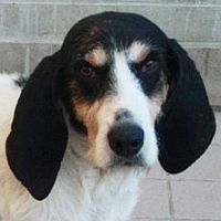 Lulù