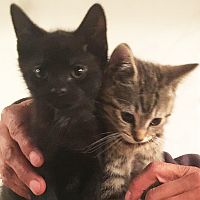Mats und Emma
