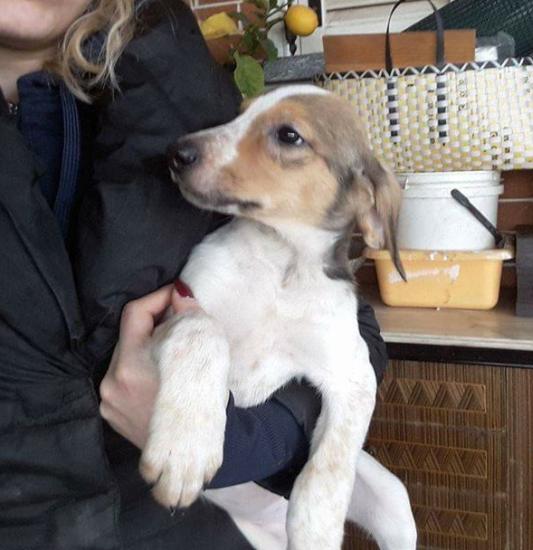 Milka