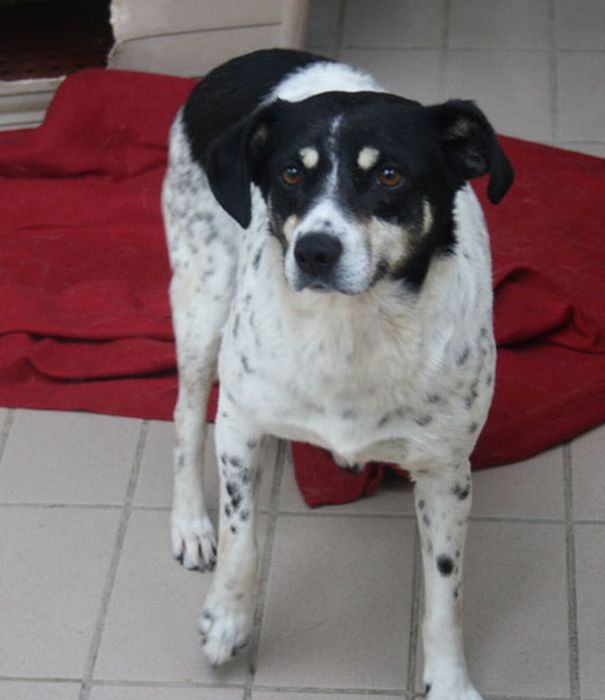 Milly
