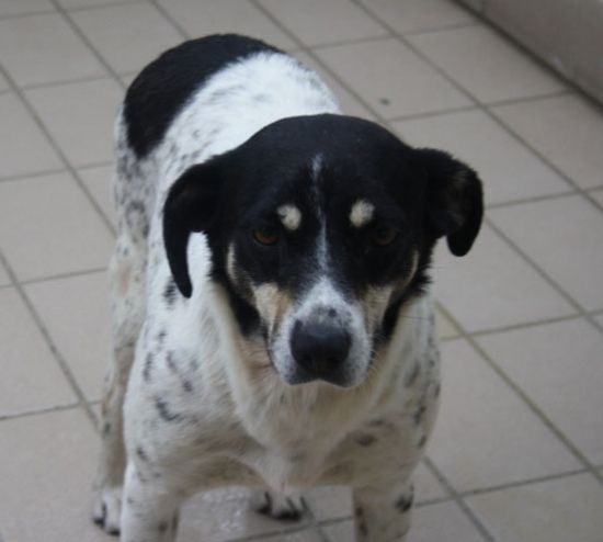 Milly