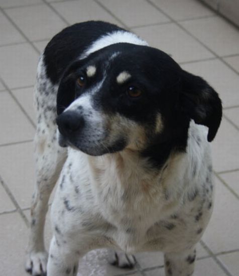 Milly