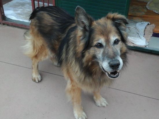 Sam