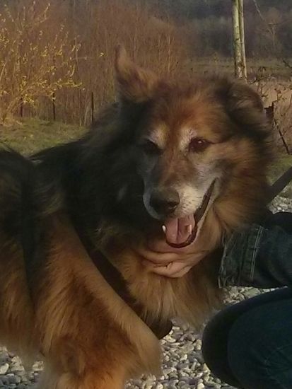 Sam