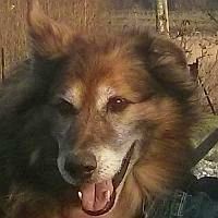 Sam
