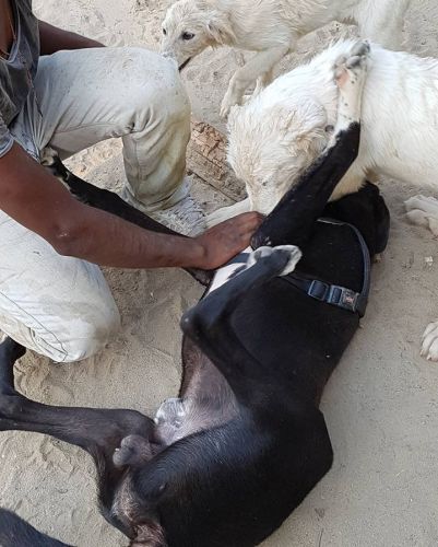 Tayson