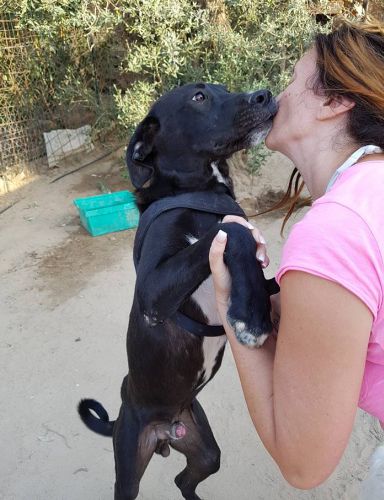 Tayson