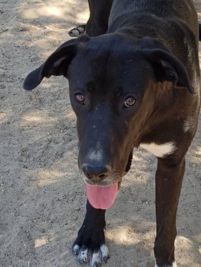 Tayson