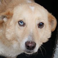 Arturo