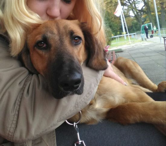 Baldo