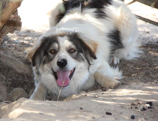 Beethoven