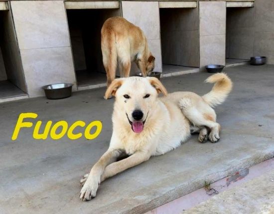 Fuoco