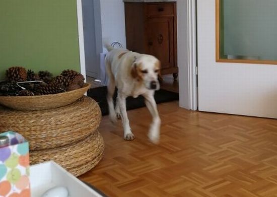 Lilla