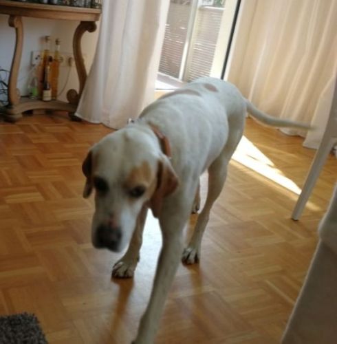 Lilla