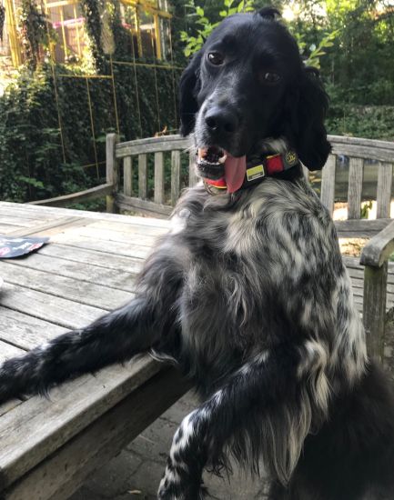 Luna