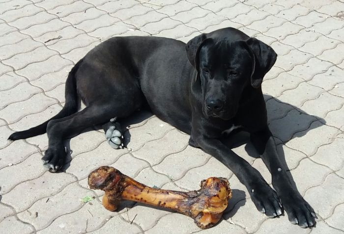 Max