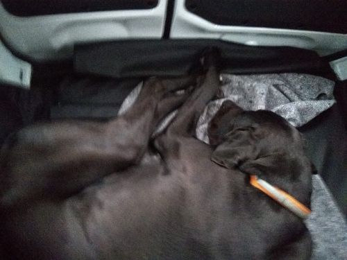 Max
