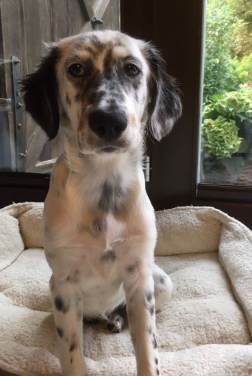 Minnie