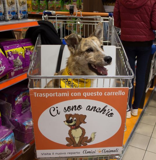 Spillo