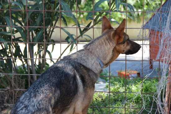 Thelma