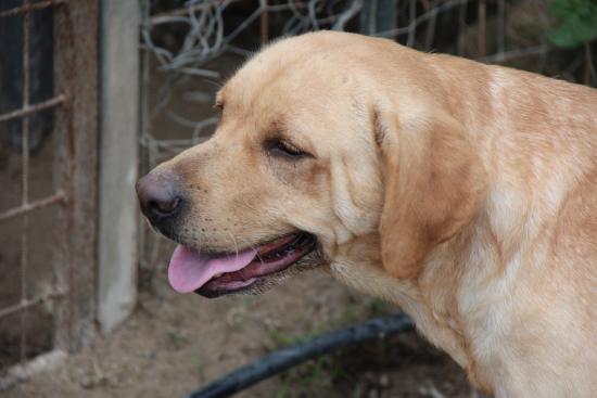 Wilma