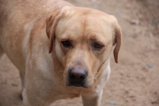 Wilma